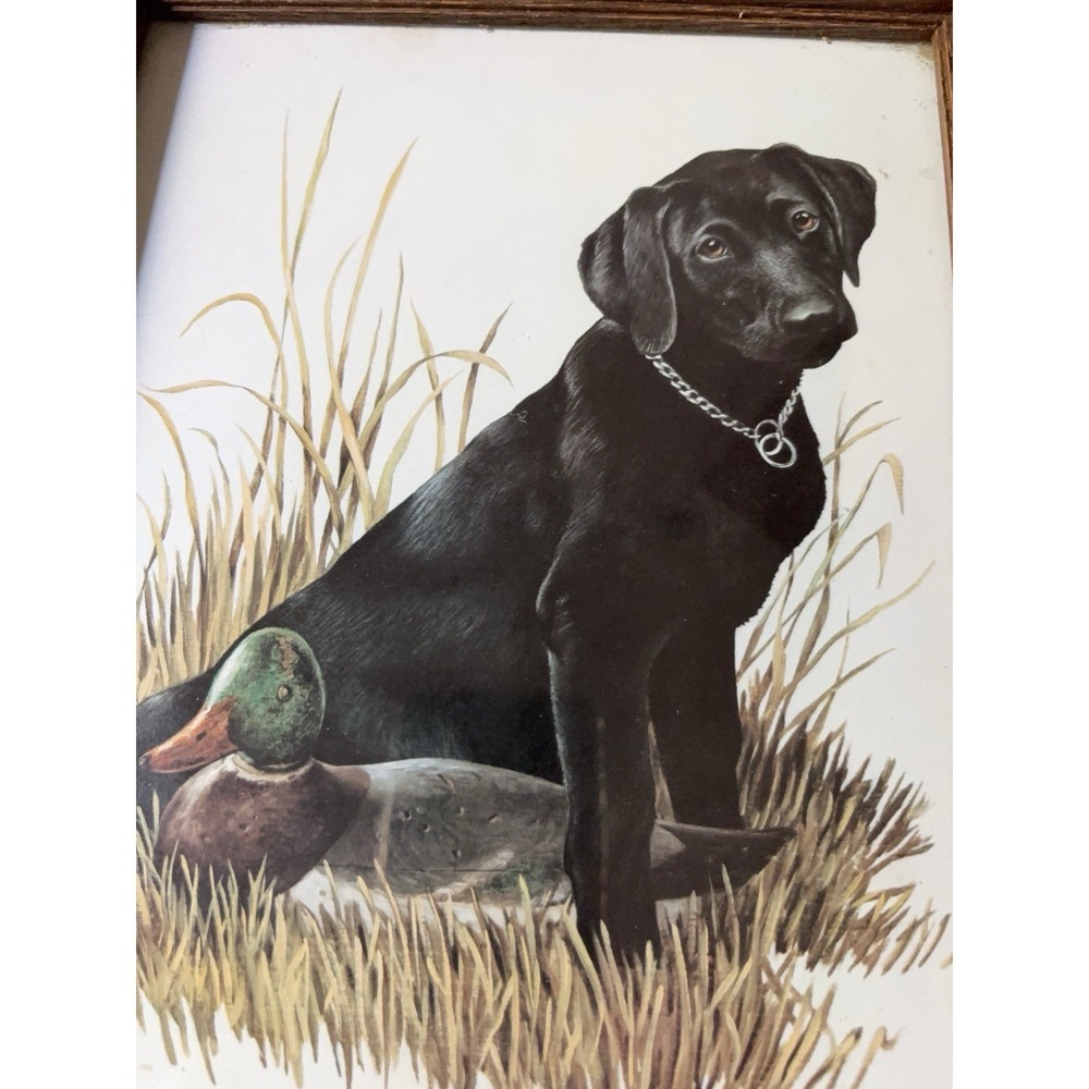 Signed Harry Tollas Black Lab Labrador Puppy & Decoy Duck Hunting 8 x10 Art Prin